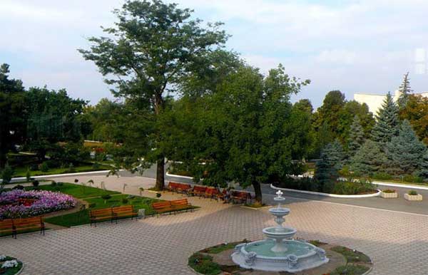Зона отдыха в парке отдых в саках